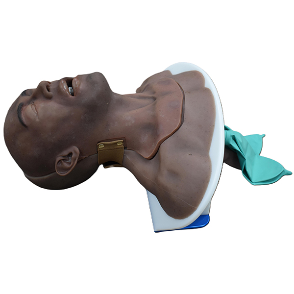 Swollen Victim Partial Airway Trainer - Image 2