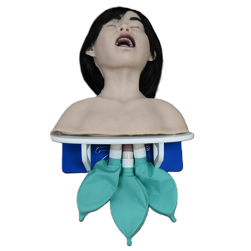 Pediatric Airway Skills Trainer