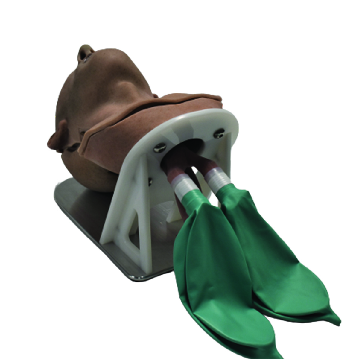 Go-Light Airway Trainer (Advanced) - Image 3