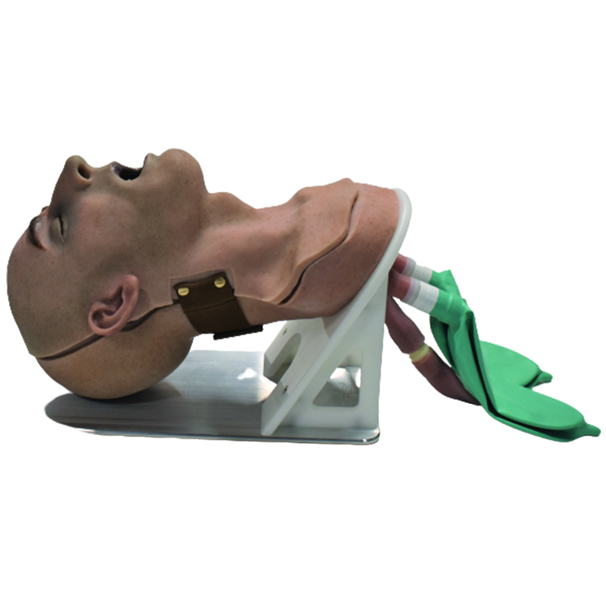 Go-Light Airway Trainer (Advanced) - Image 2